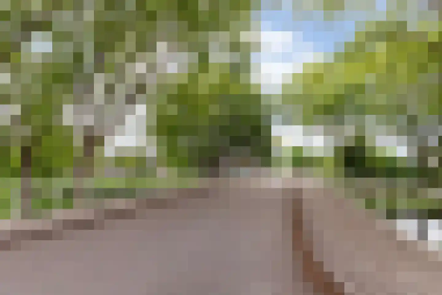 Haydnplantsoen 100 Almere thumbnail 28