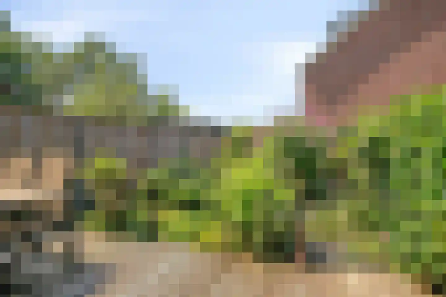 Haydnplantsoen 35 Bunschoten-Spakenburg thumbnail 26