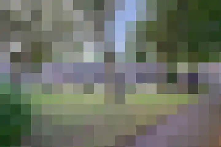 Haydnplantsoen 51 Bunschoten-Spakenburg thumbnail 38