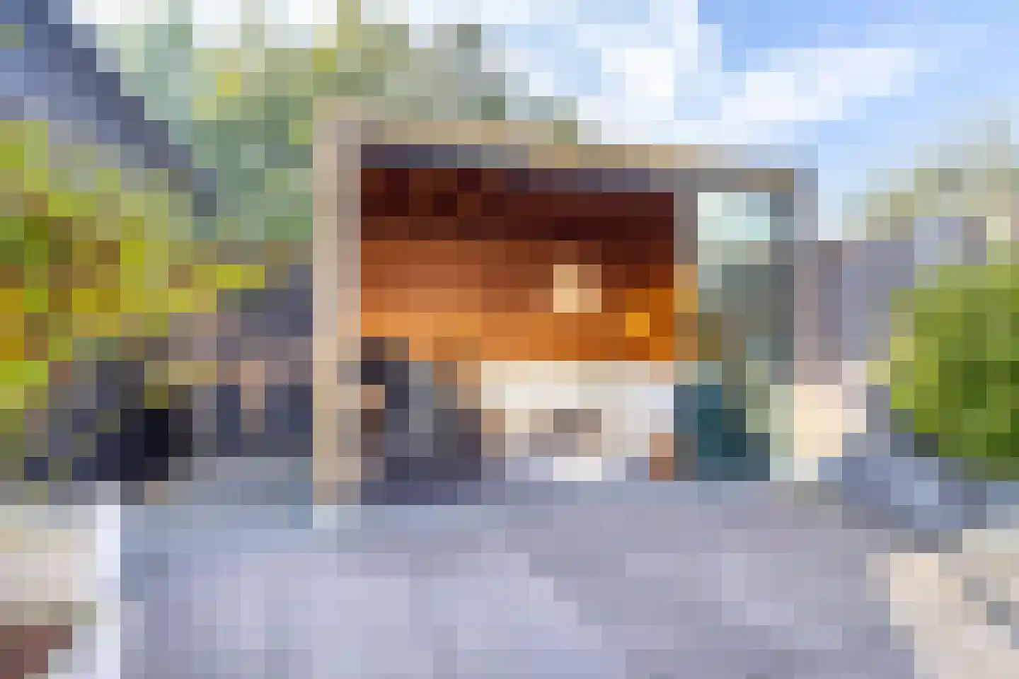 Haydnplantsoen 8 Bunschoten-Spakenburg thumbnail 4