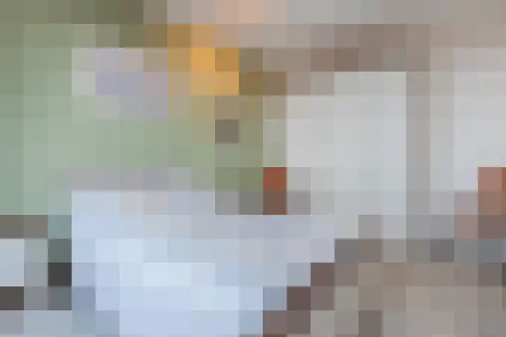 Haydnplein 126 Heemskerk thumbnail 36