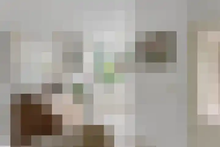 Haydnsingel 15 Barendrecht thumbnail 13