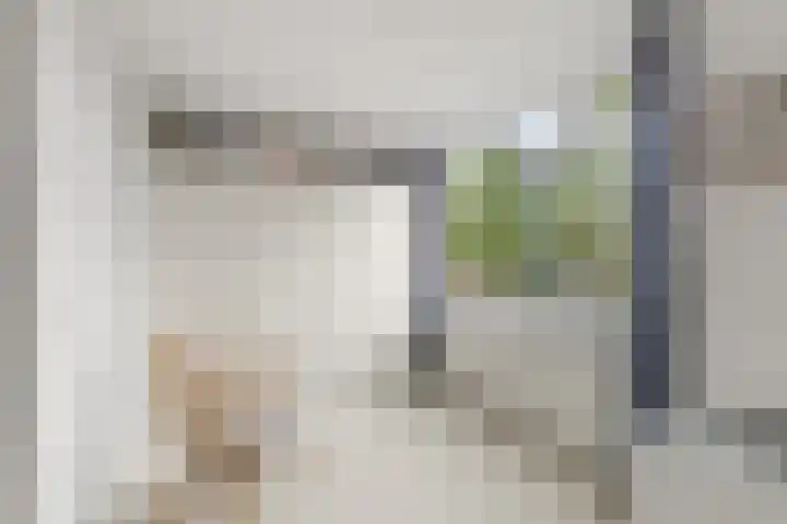 Haydnsingel 15 Barendrecht thumbnail 31