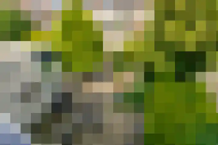 Haydnsingel 15 Barendrecht thumbnail 36