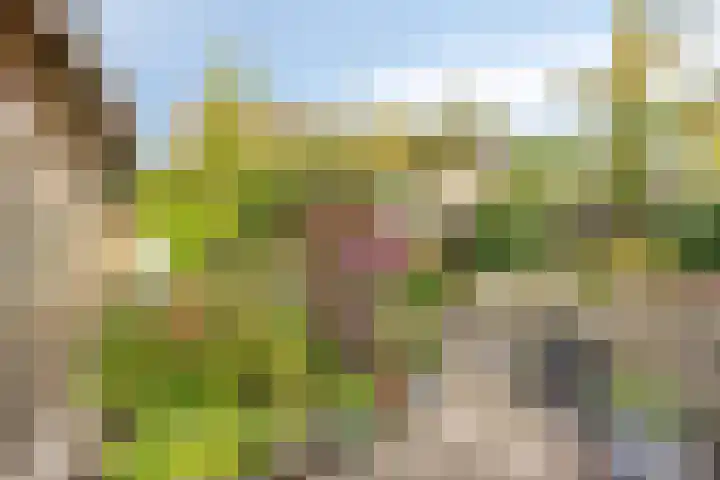 Haydnsingel 39 Barendrecht thumbnail 31