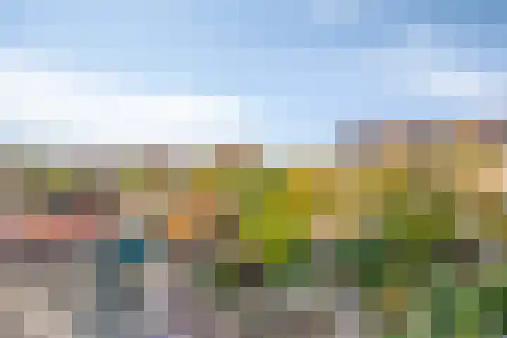 Haydnsingel 39 Barendrecht thumbnail 33
