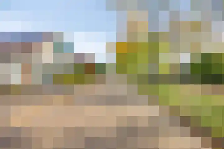 Haydnsingel 39 Barendrecht thumbnail 35