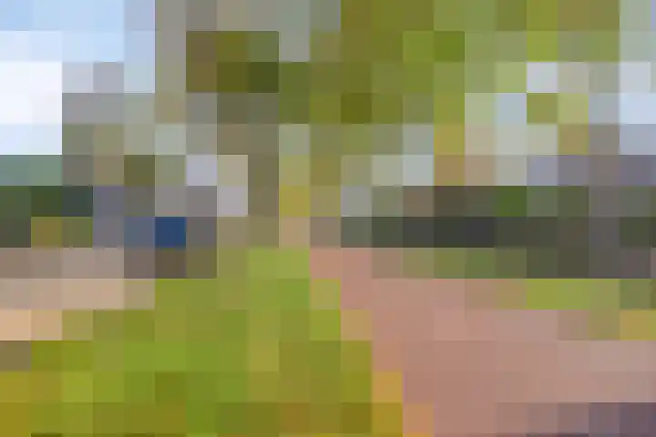 Haydnsingel 39 Barendrecht thumbnail 36