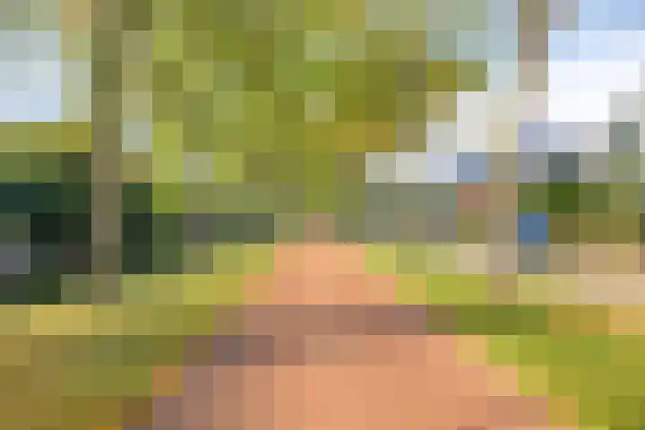 Haydnsingel 39 Barendrecht thumbnail 37