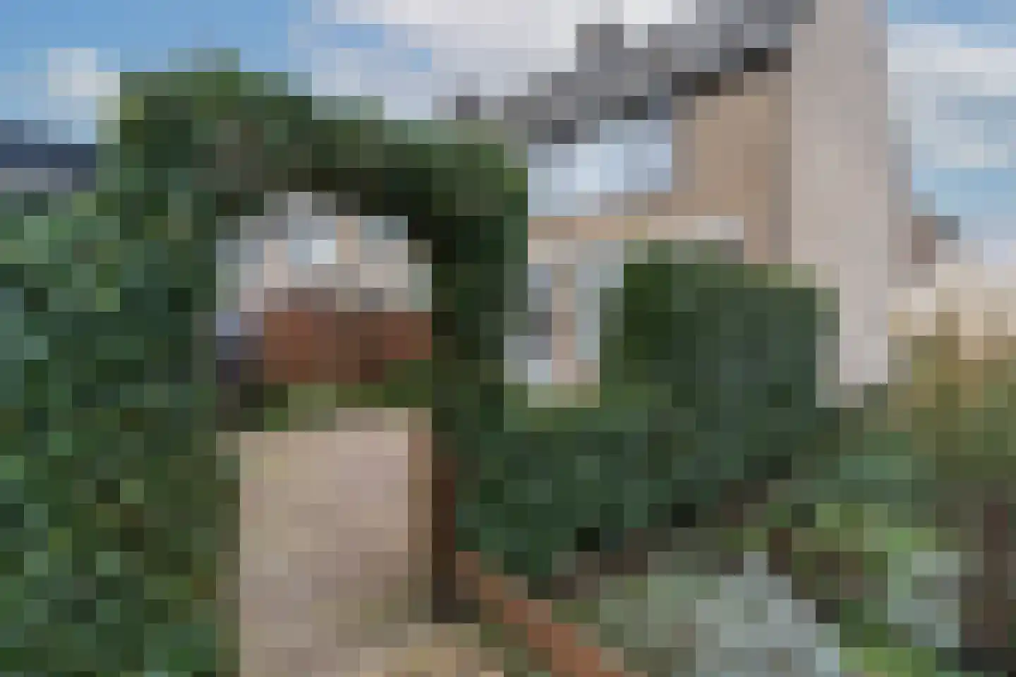 Haydnstraat 1 Nieuwkoop thumbnail 35