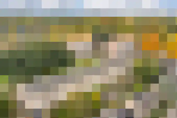 Haydnstraat 10 B Amersfoort thumbnail 32