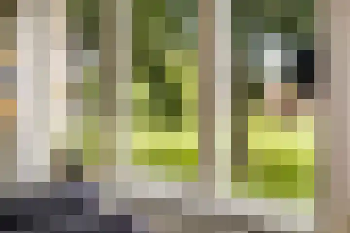 Haydnstraat 10 B Amersfoort thumbnail 9