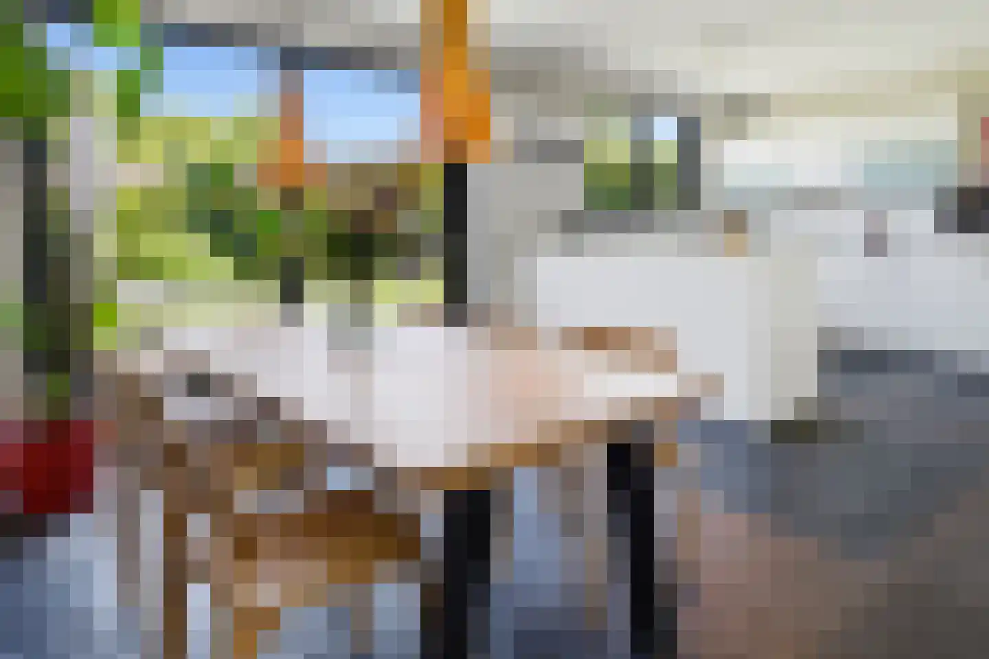 Haydnstraat 11 a Elst thumbnail 15