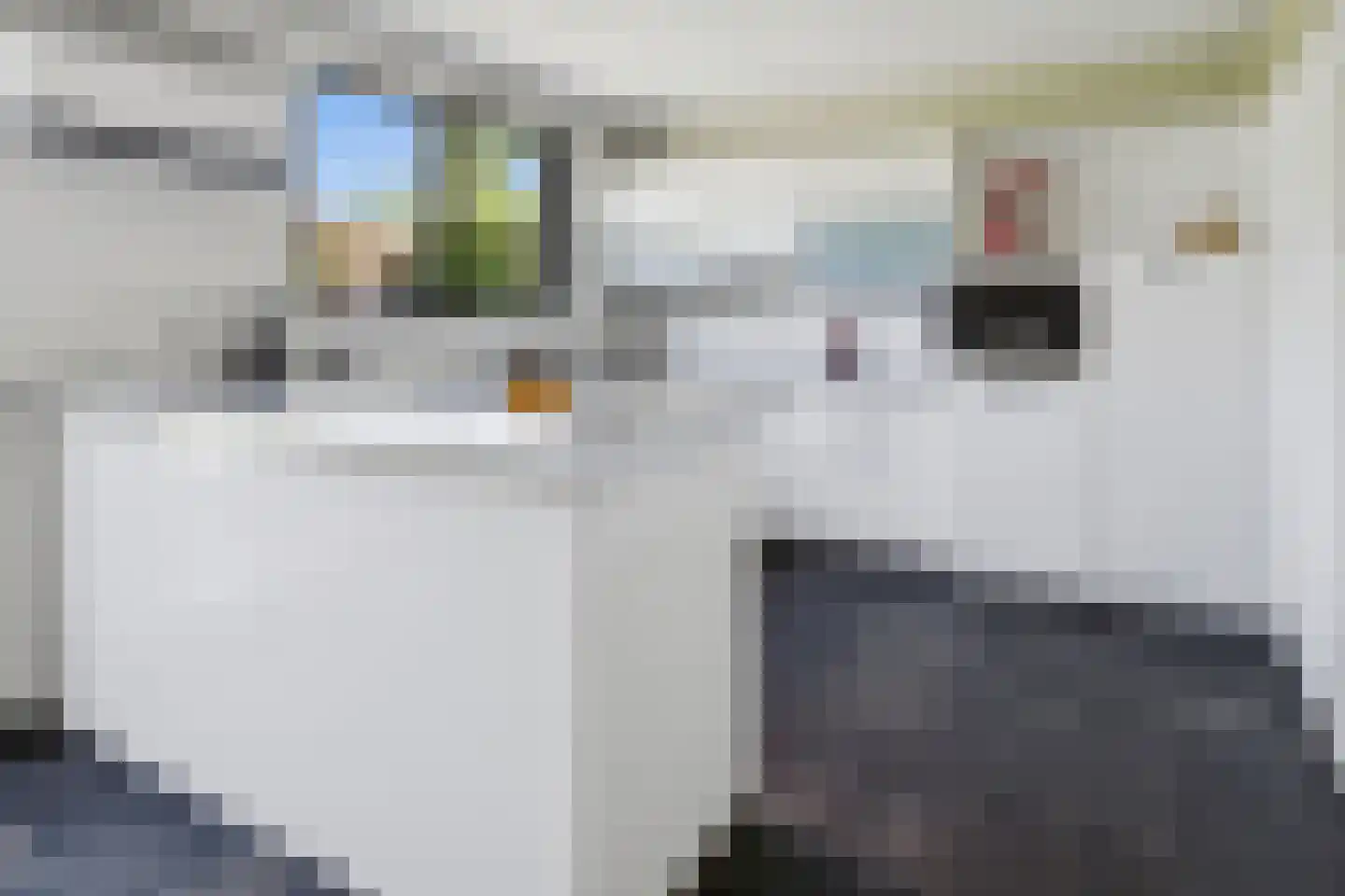 Haydnstraat 11 a Elst thumbnail 16