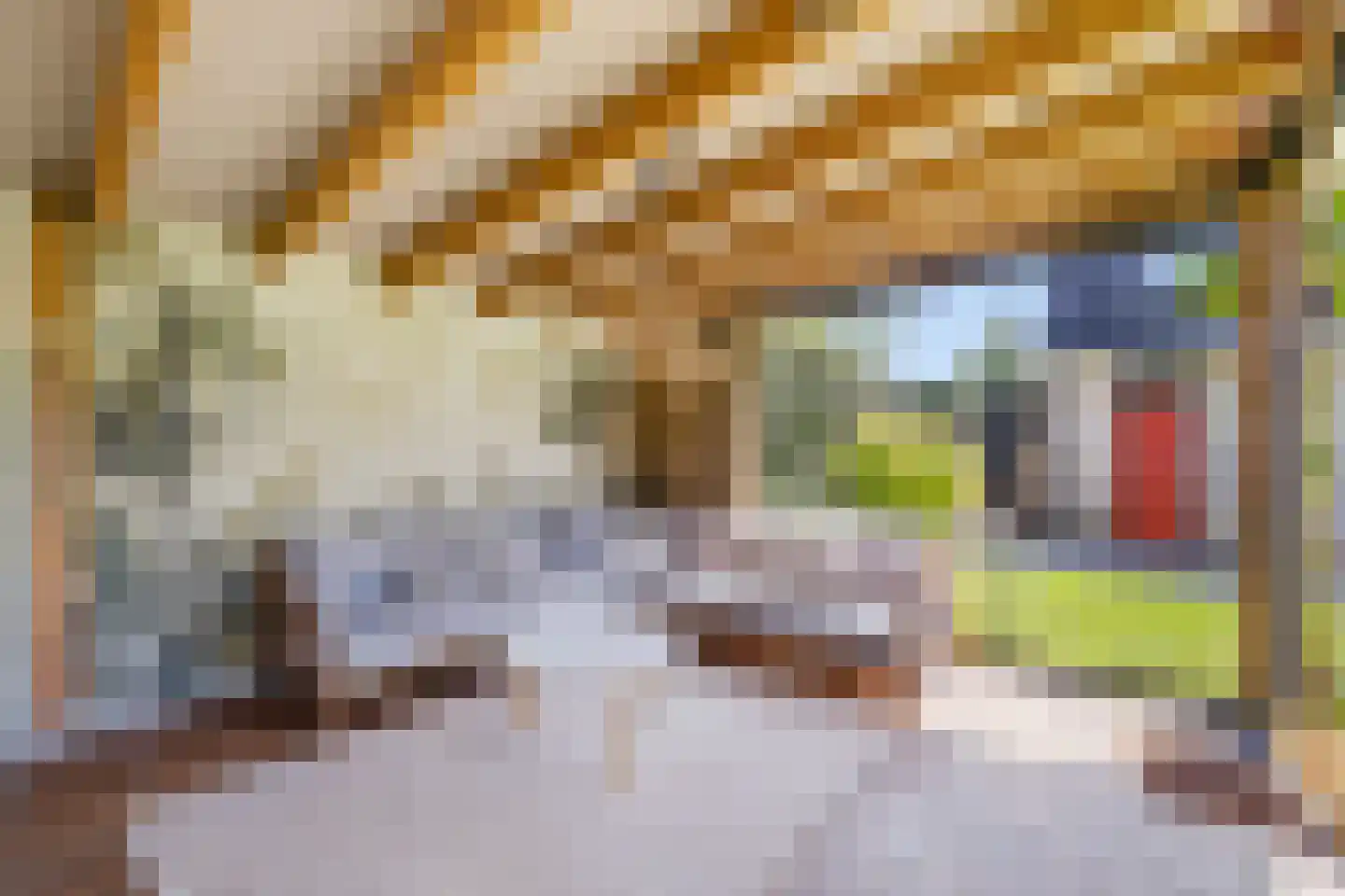 Haydnstraat 11 a Elst thumbnail 35