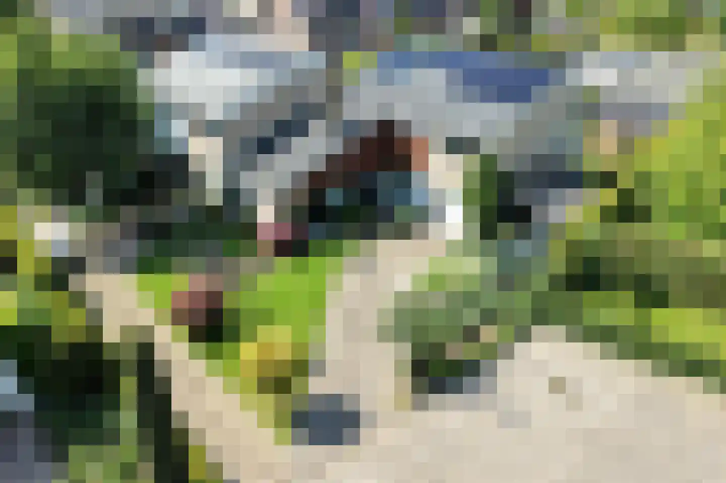 Haydnstraat 11 a Elst thumbnail 38