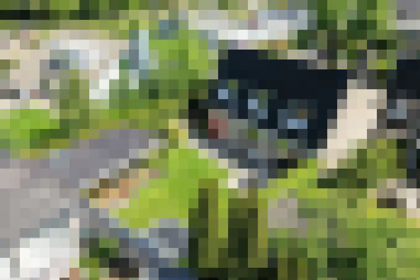 Haydnstraat 11 a Elst thumbnail 39