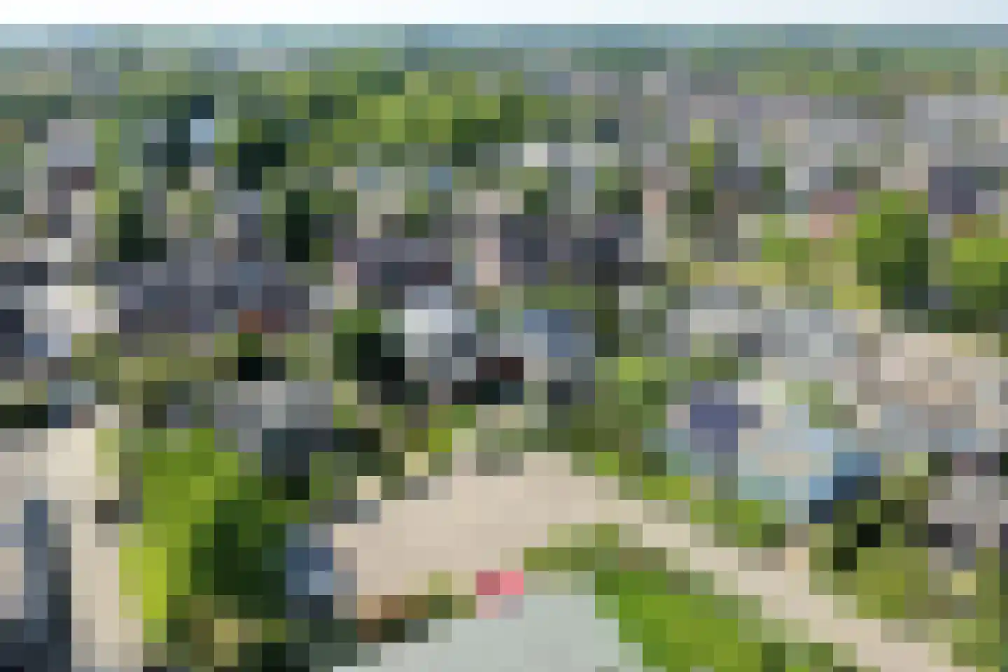 Haydnstraat 11 a Elst thumbnail 44