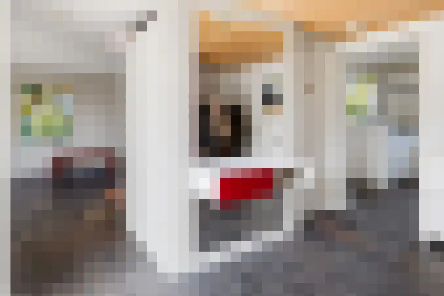 Haydnstraat 11 a Elst thumbnail 7