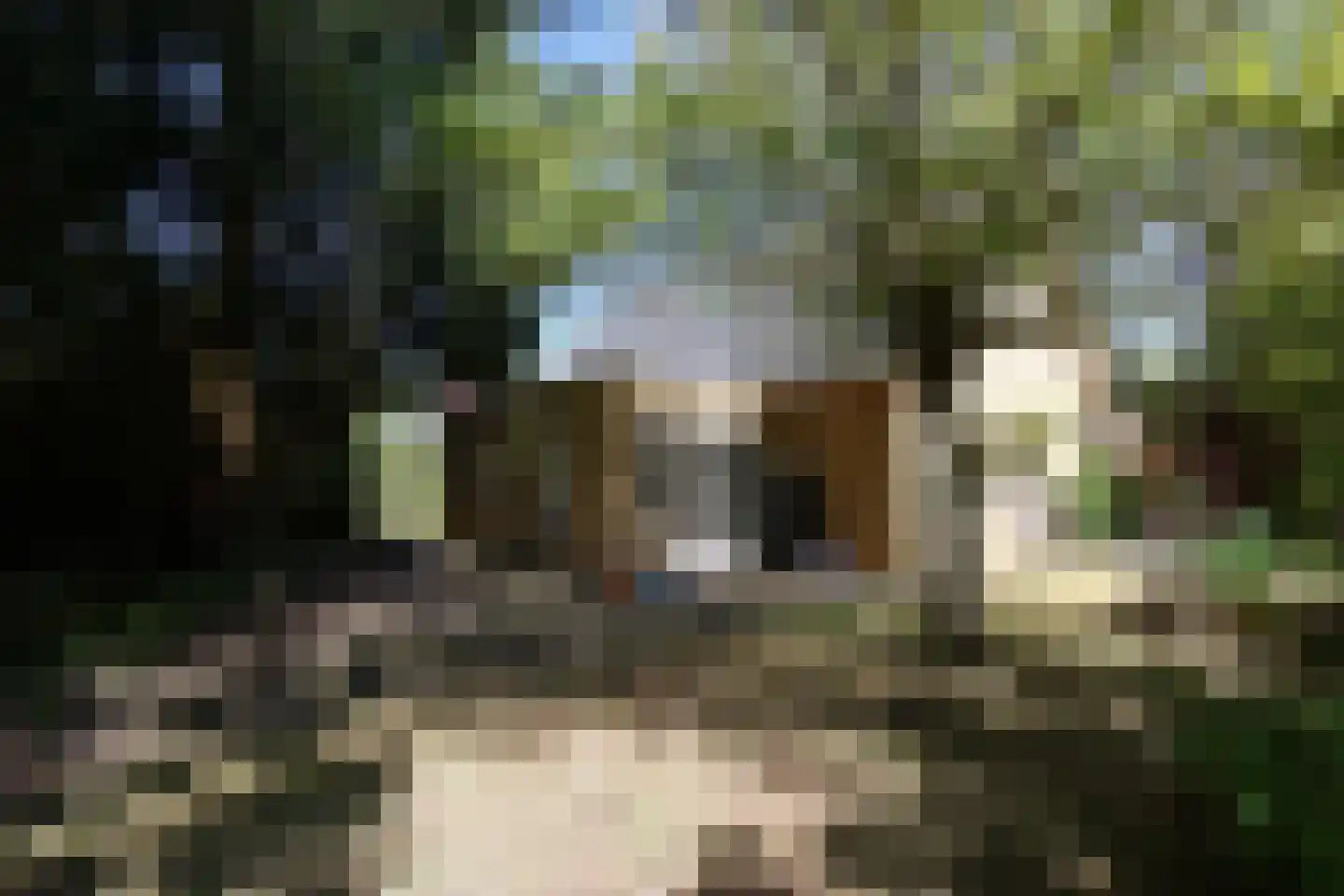 Haydnstraat 11 Groesbeek thumbnail 9