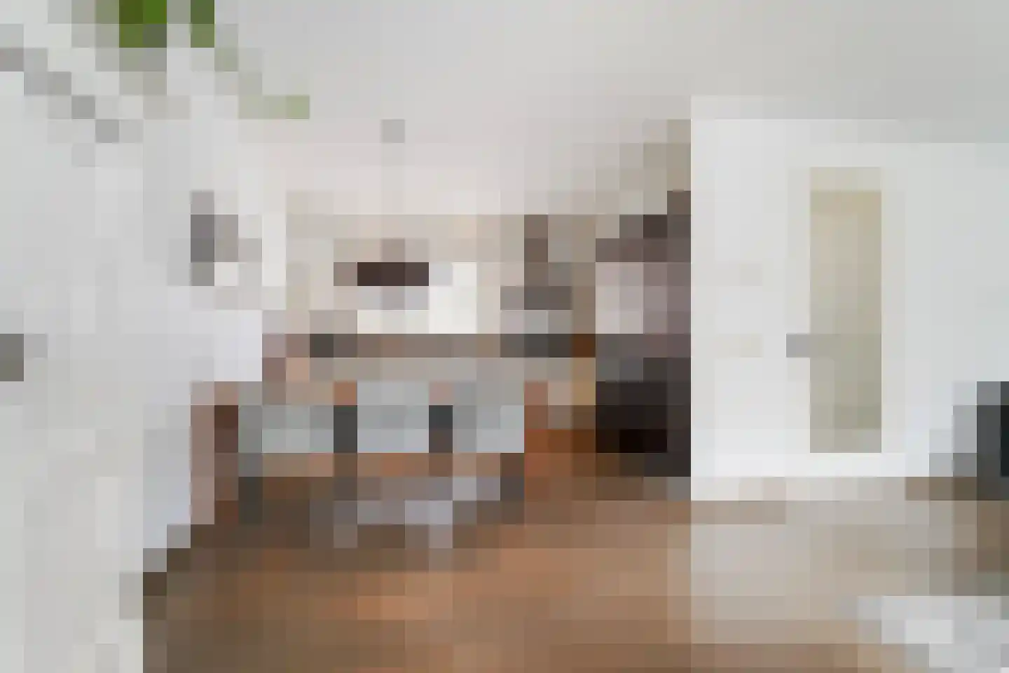 Haydnstraat 11 Waalwijk thumbnail 12