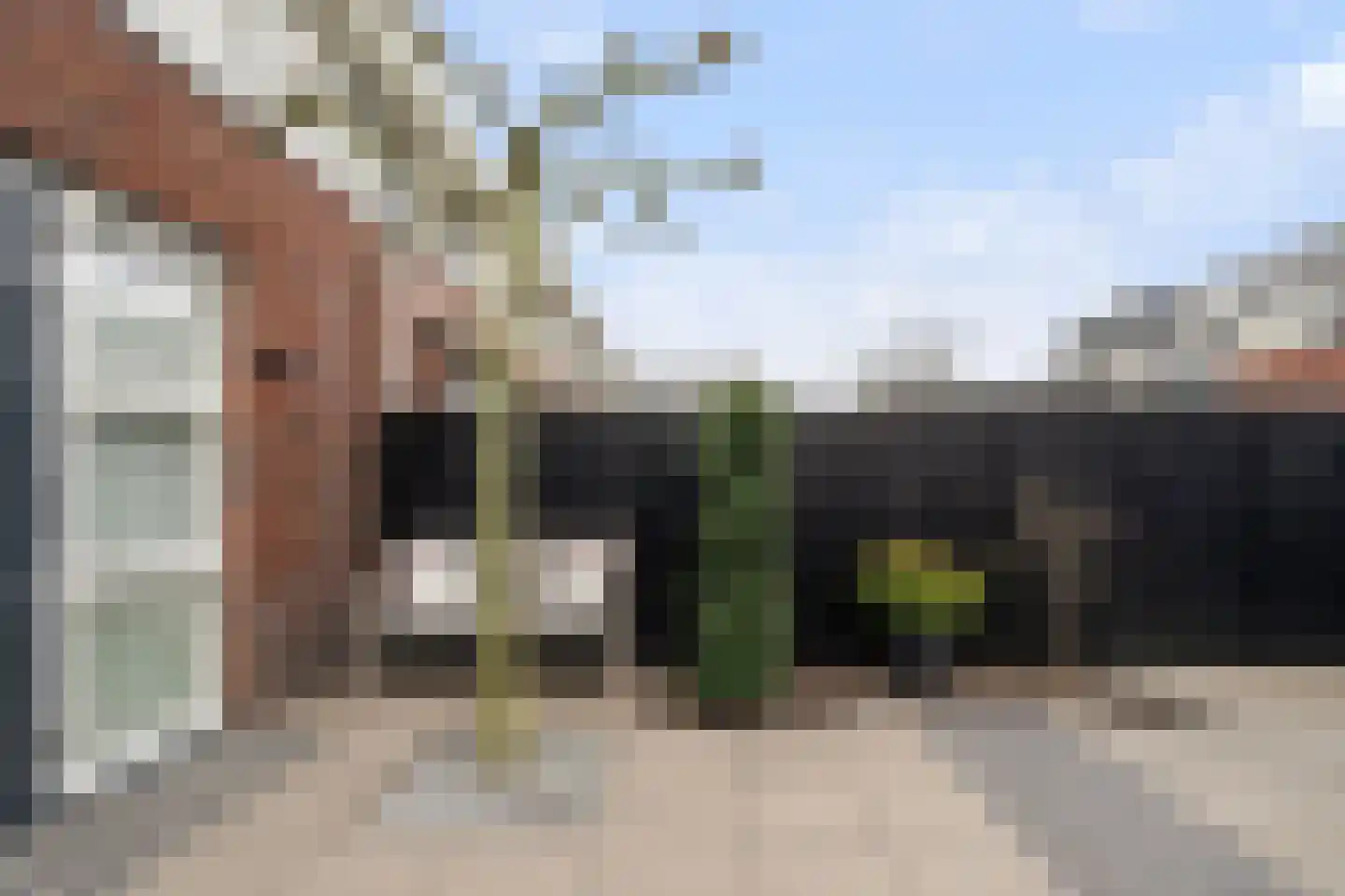 Haydnstraat 11 Waalwijk thumbnail 34