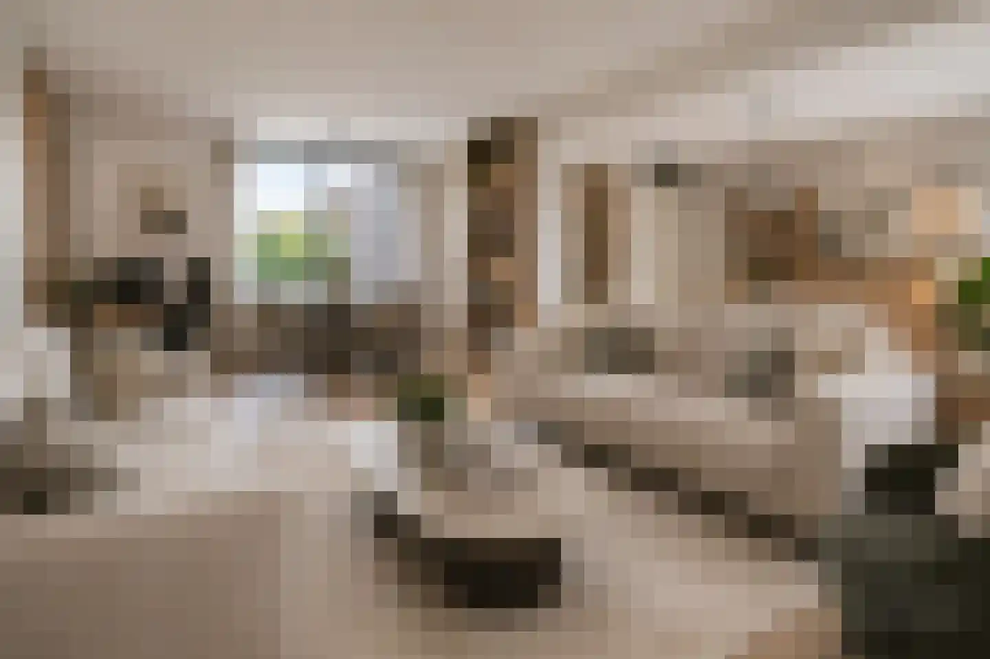 Haydnstraat 136 Capelle aan den IJssel thumbnail 13