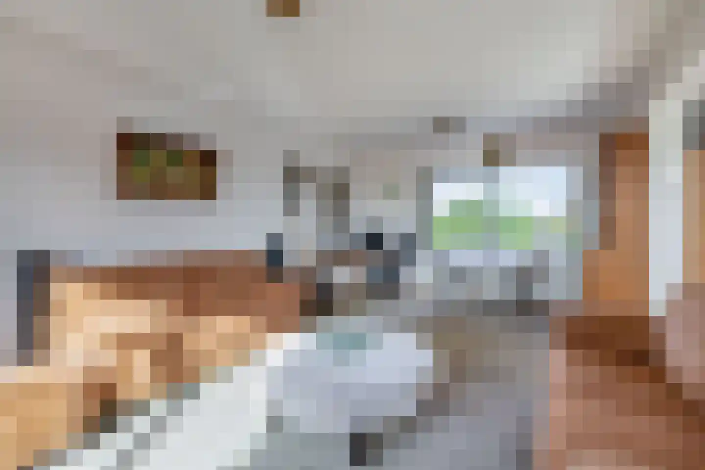 Haydnstraat 136 Capelle aan den IJssel thumbnail 15
