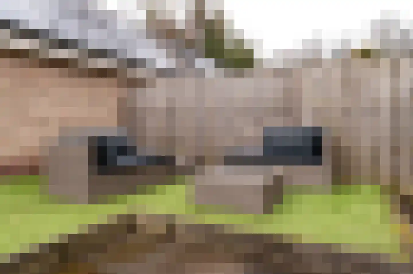 Haydnstraat 14 B Amersfoort thumbnail 32