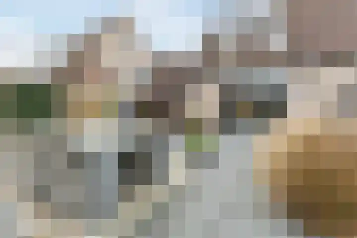 Haydnstraat 14 Zwijndrecht thumbnail 30
