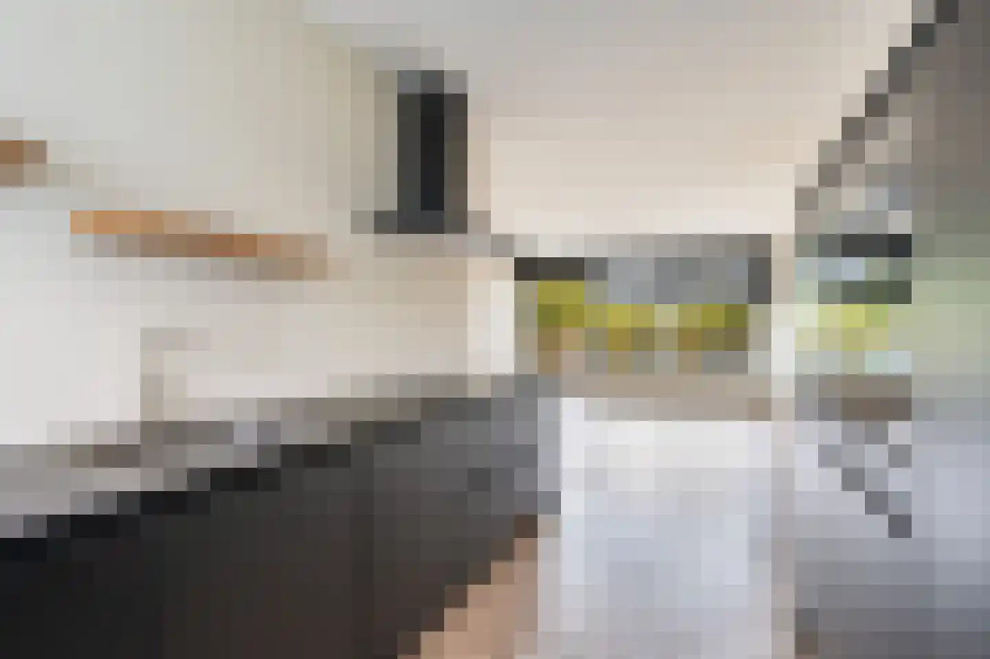 Haydnstraat 140 Capelle aan den IJssel thumbnail 6