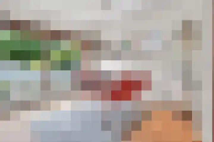 Haydnstraat 24 Losser thumbnail 18