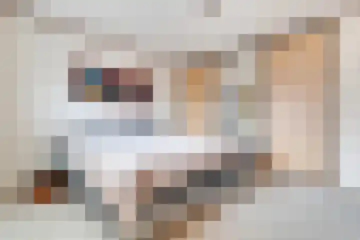 Haydnstraat 24 Losser thumbnail 25