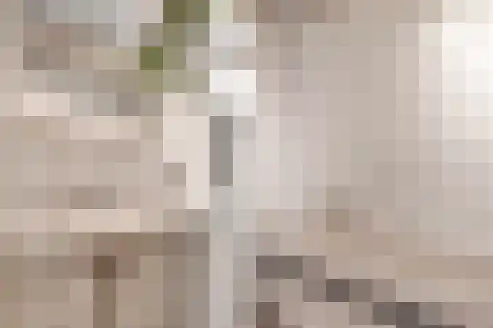 Haydnstraat 24 Losser thumbnail 27