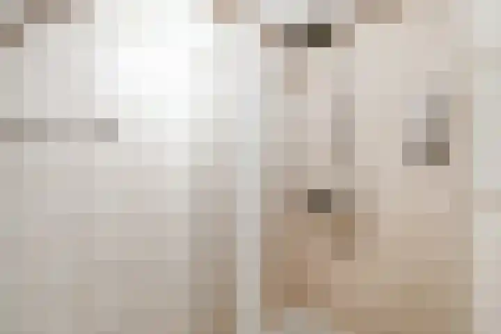 Haydnstraat 24 Losser thumbnail 35