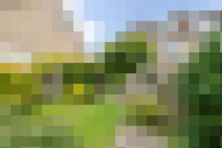 Haydnstraat 24 Losser thumbnail 39