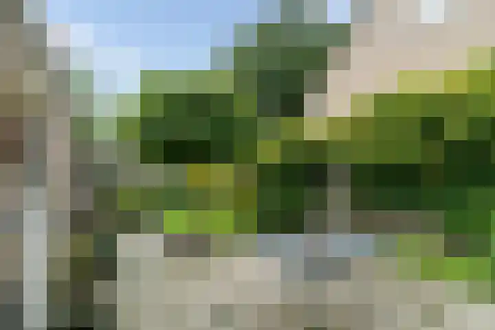 Haydnstraat 24 Losser thumbnail 40