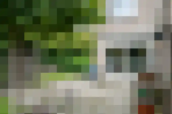 Haydnstraat 24 Losser thumbnail 41