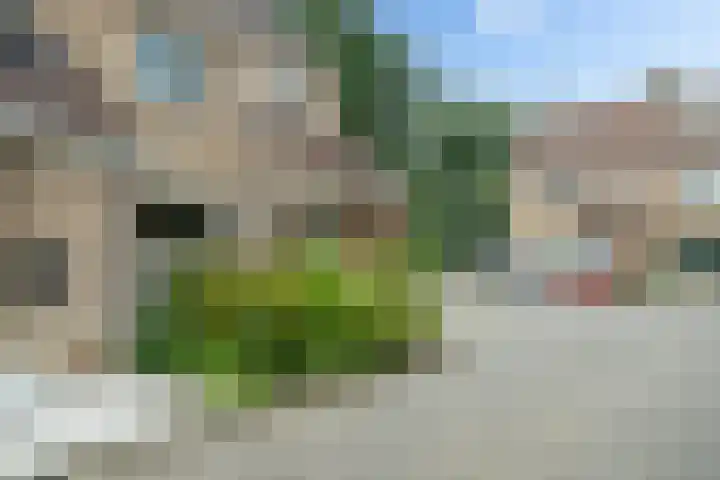 Haydnstraat 24 Losser thumbnail 5