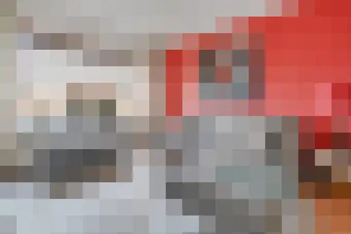 Haydnstraat 24 Losser thumbnail 9