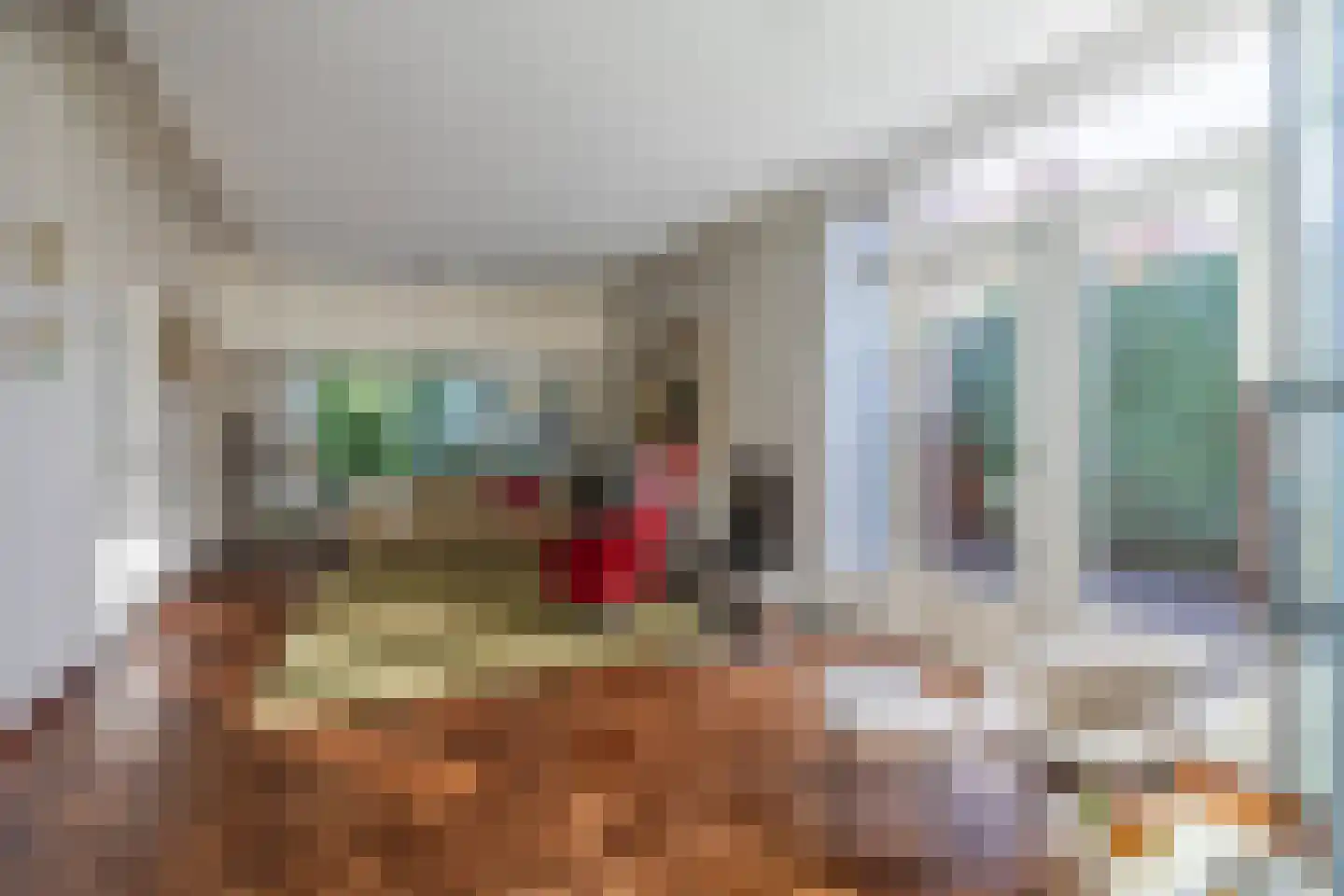 Haydnstraat 25 Elst thumbnail 13