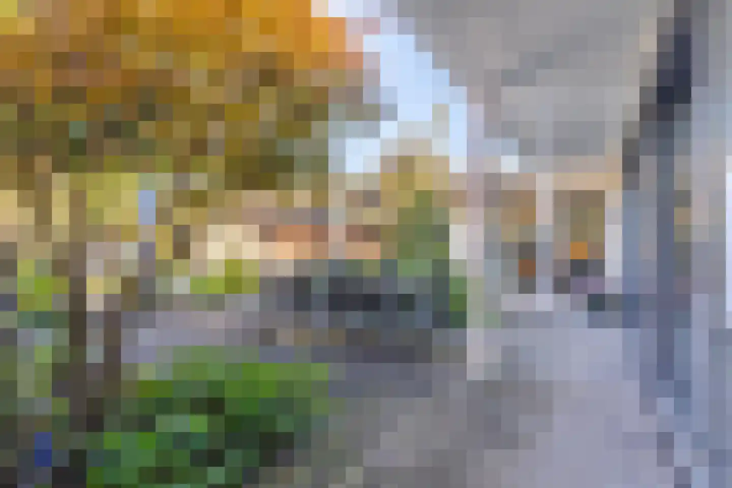 Haydnstraat 25 Elst thumbnail 32