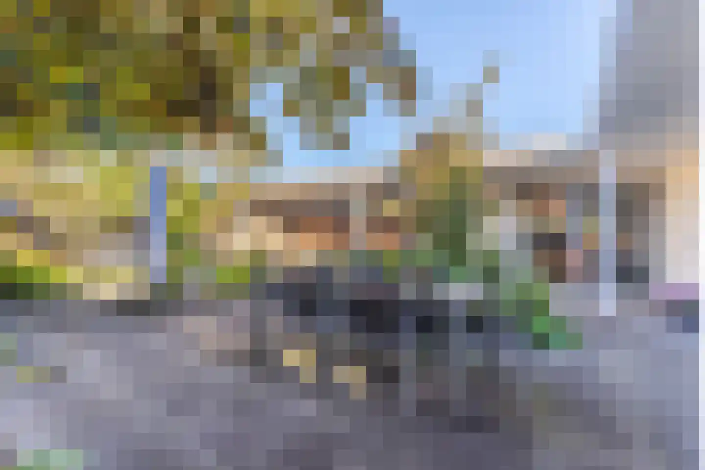 Haydnstraat 25 Elst thumbnail 33
