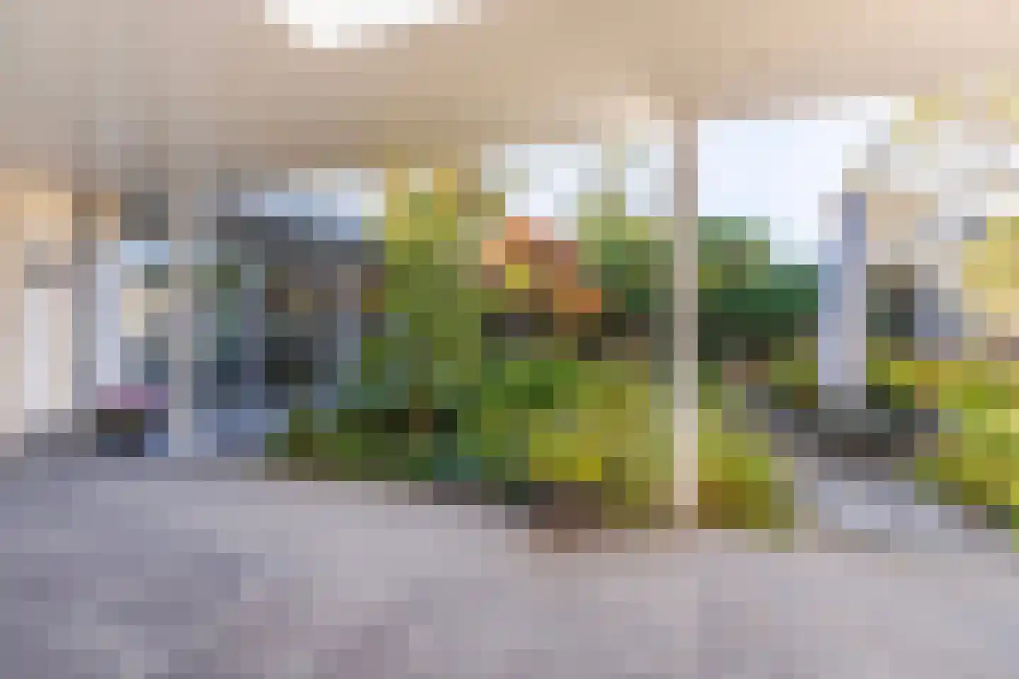 Haydnstraat 25 Elst thumbnail 35