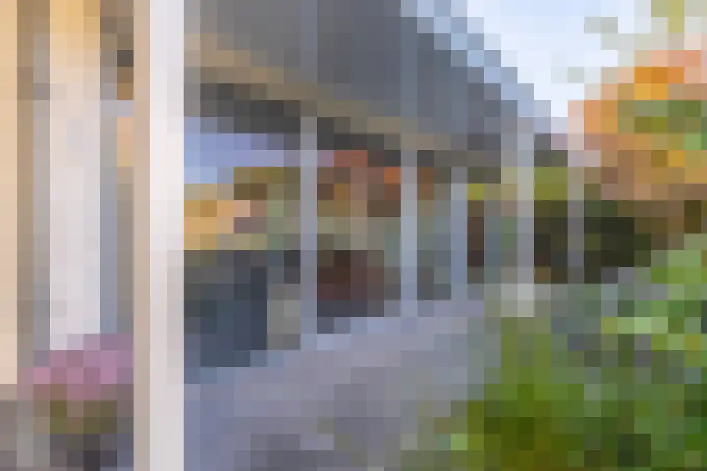 Haydnstraat 25 Elst thumbnail 36