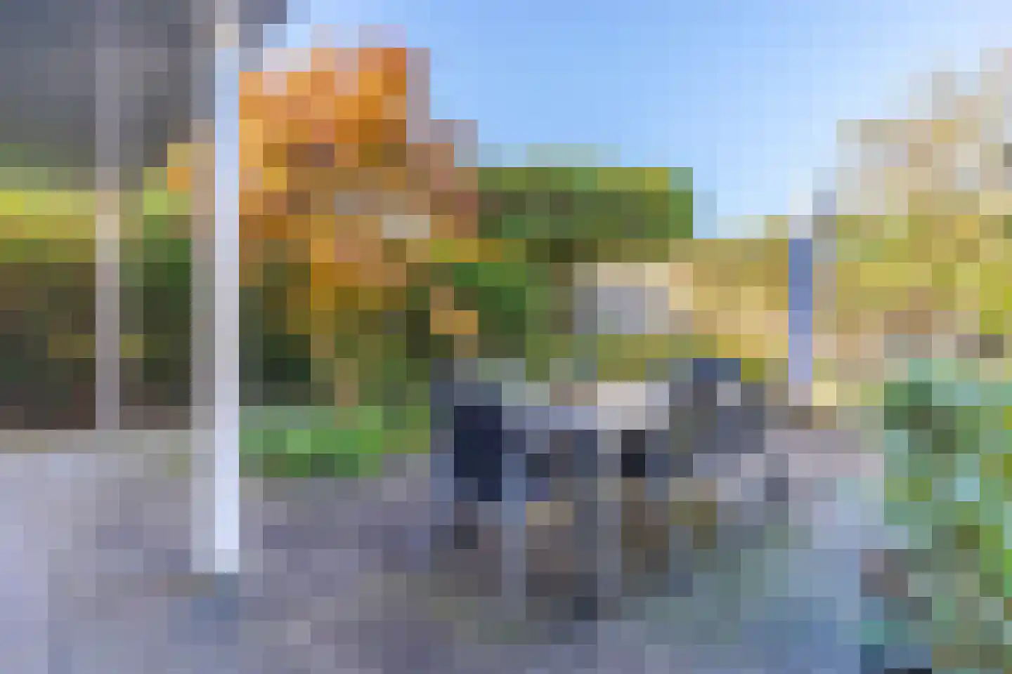Haydnstraat 25 Elst thumbnail 37