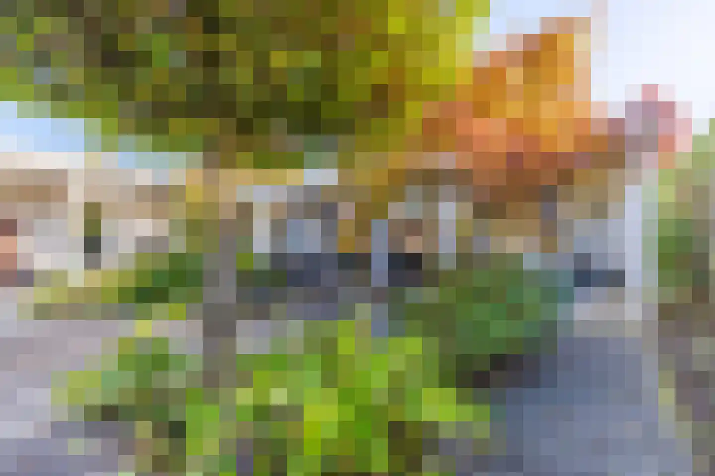 Haydnstraat 25 Elst thumbnail 4