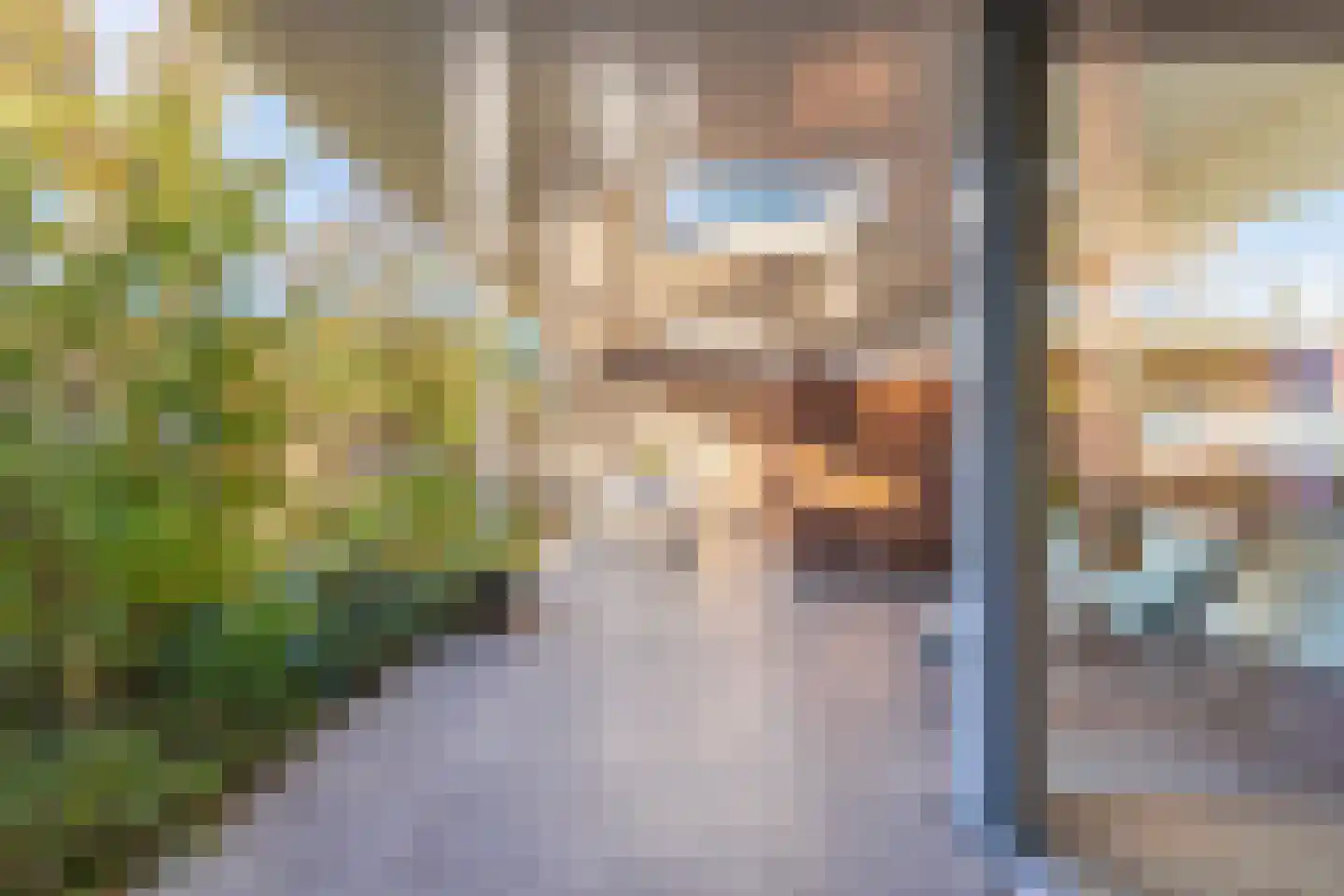 Haydnstraat 25 Elst thumbnail 42