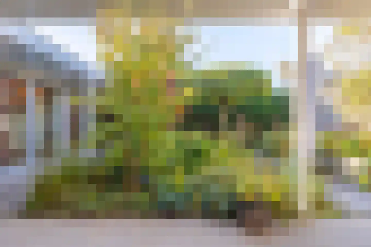 Haydnstraat 25 Elst thumbnail 43