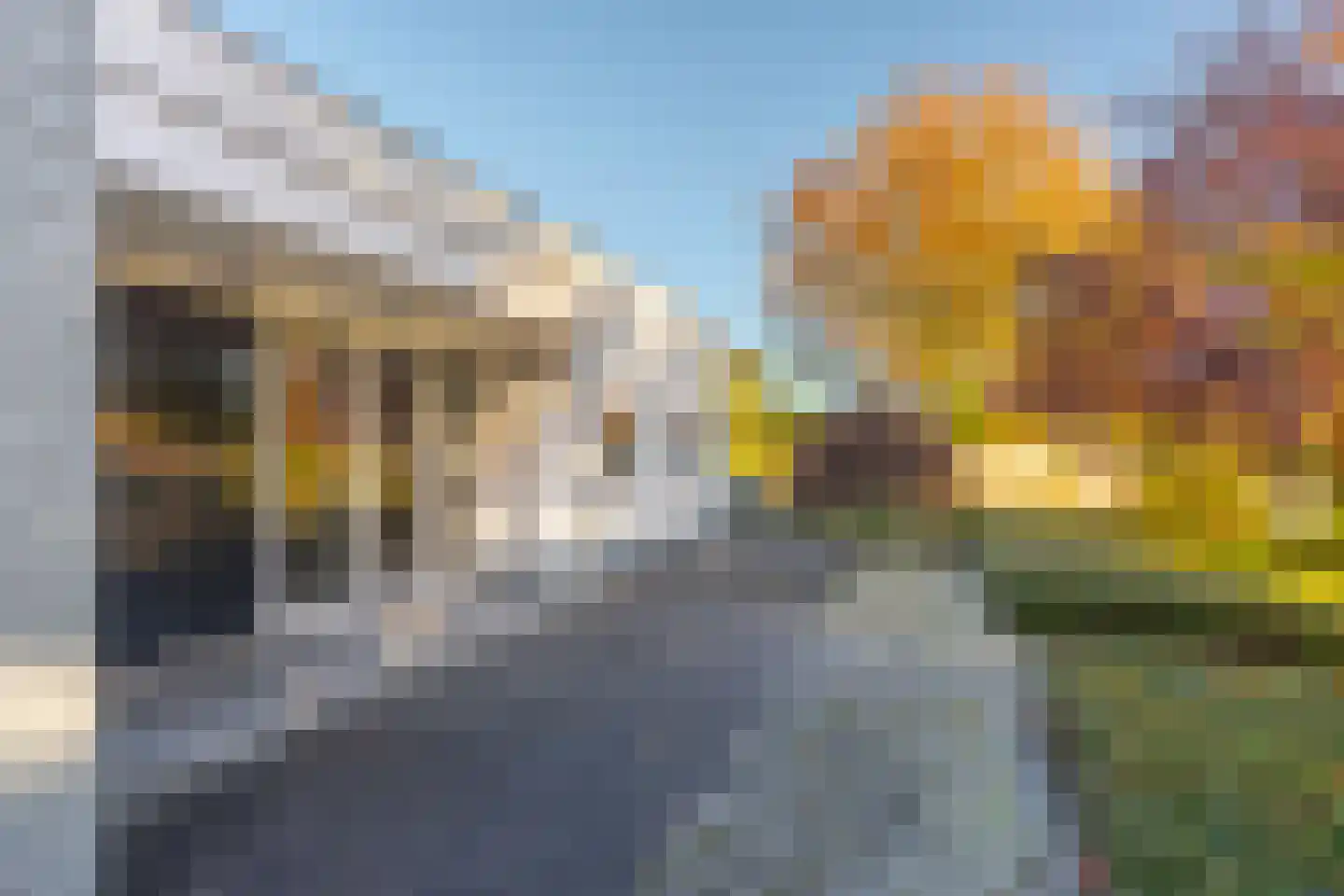 Haydnstraat 25 Elst thumbnail 9